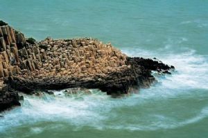 花岙石林 花岙石林