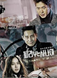 吹笛人[2016年韓國tvN電視台月火劇]