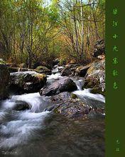 柴河[黑龍江水系松花江支流嫩江的支流]