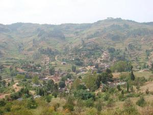 樹密寨村 樹密寨村