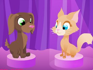 明星小貓小狗 明星小貓小狗