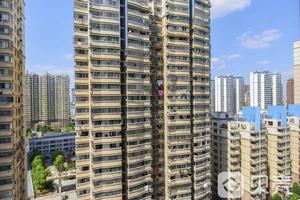 丁怡花園 丁怡花園