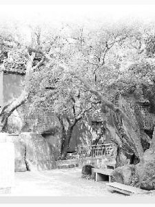 道山亭記 道山亭記