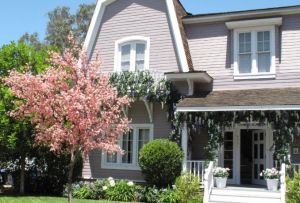 電視劇拍攝地點