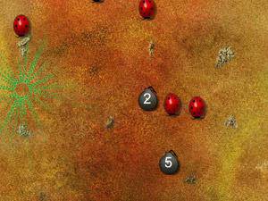 炸光瓢蟲 炸光瓢蟲