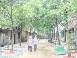 嵩山路街道辦事處 嵩山路街道辦事處