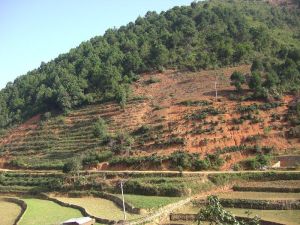 薩臘務告自然村