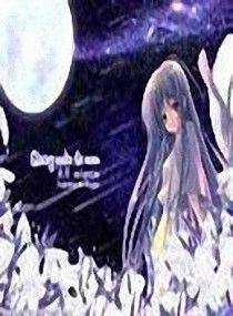 夏天的玫瑰 夏天的玫瑰