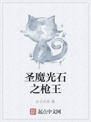 聖魔光石之槍王 聖魔光石之槍王