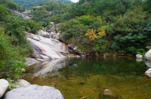 金剛台自然保護區