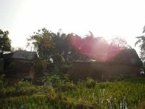 大田村[雲南省紅河元陽縣牛角寨鄉新安所村委會]