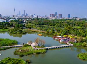 海珠濕地 海珠濕地
