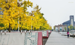 四川大學江安校區