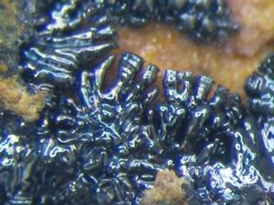 六方錳礦 六方錳礦