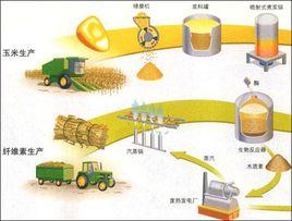 生物性燃料 生物性燃料