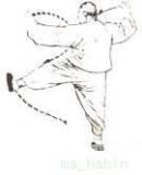 含胸拔背 含胸拔背