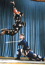 《雁翎甲》 《雁翎甲》