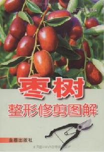 棗樹整形修剪圖解 棗樹整形修剪圖解