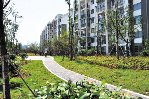 九峰苑社區公園 九峰苑社區公園