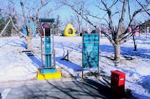 王振飛[中國電動汽車第一人]