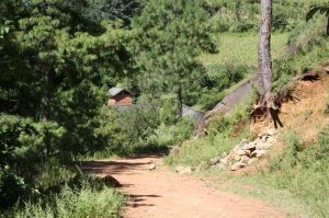 煉曲自然村 煉曲自然村