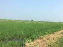 圖片中部以上的台地即為“上農“部分