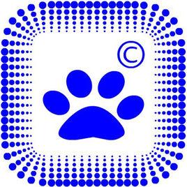 海納百川動物救助中心 海納百川動物救助中心