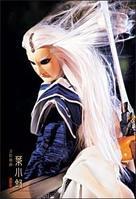 葉小釵[《霹靂布袋戲》中的虛擬人物]