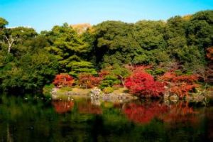 栗林公園 栗林公園