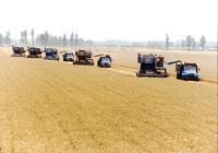 黃泛區農場四分場 黃泛區農場四分場