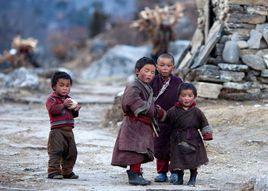 高原環境人群營養 高原環境人群營養