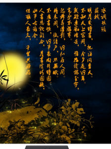 水調歌頭·離別一何久 水調歌頭·離別一何久