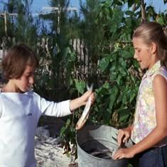 海豚的故事-劇照