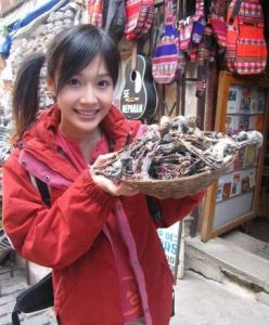 世界那么大 世界那么大