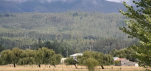 阿勞科省 阿勞科省