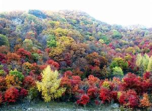 本溪國家森林公園 本溪國家森林公園