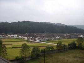 嶺塘村[廣西玉林市玉州區南江街道下轄村]