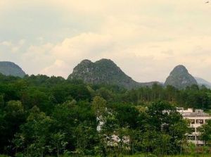 盤鶴嶺森林公園 盤鶴嶺森林公園