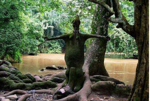 奧孫-奧索博神樹林 奧孫-奧索博神樹林