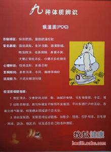 痰濕質：“大肚子”喝冬瓜湯