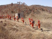 秦皇島市森林消防隊