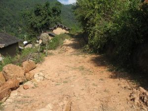 新立自然村 新立自然村