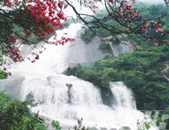 八角寨國家森林公園