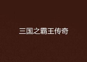 三國之霸王傳奇 三國之霸王傳奇