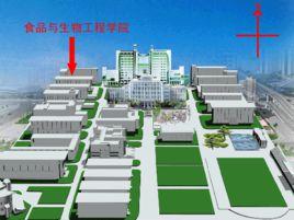 鄭州輕工業學院食品與生物工程學院 鄭州輕工業學院食品與生物工程學院