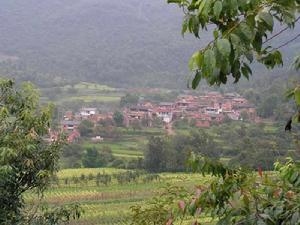 白坡村[雲南省紅河州建水縣甸尾鄉白坡村]