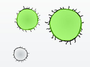 看你手多快 看你手多快