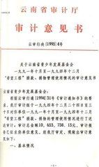 審計師意見書 審計師意見書