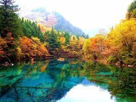 天然氧吧[定理定律]