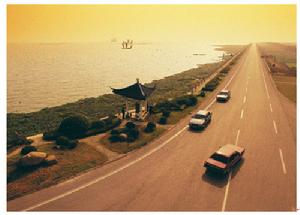 （圖）長江下游幹流